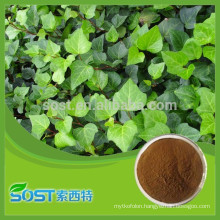 Natural Hedera Helix Extract / Ivy saponins extract / Hederagenin / Hederacoside C
Natural Hedera Helix Extract / Ivy saponins extract / Hederagenin / Hederacoside C